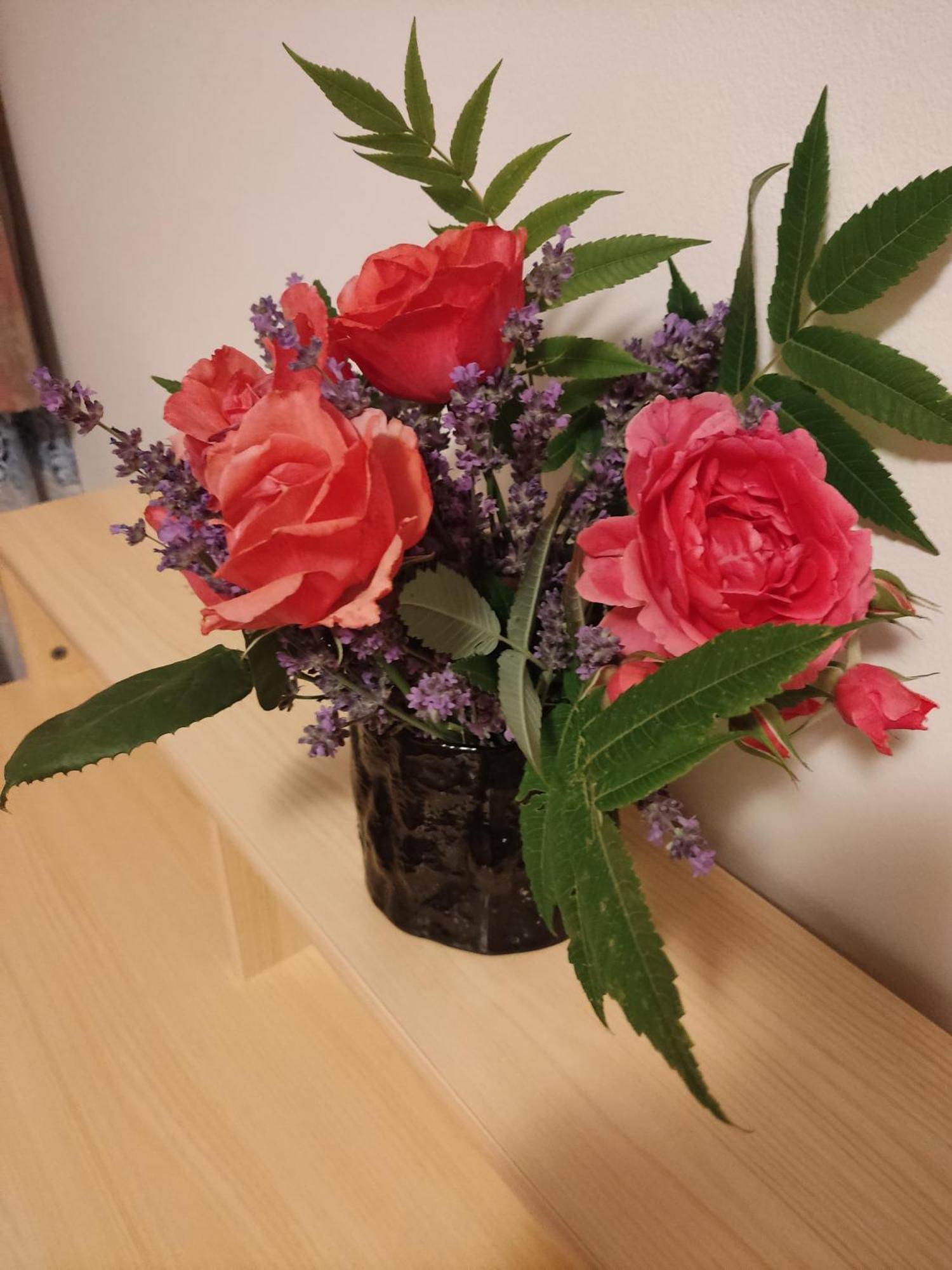 Apartman House Annesa サラエヴォ エクステリア 写真