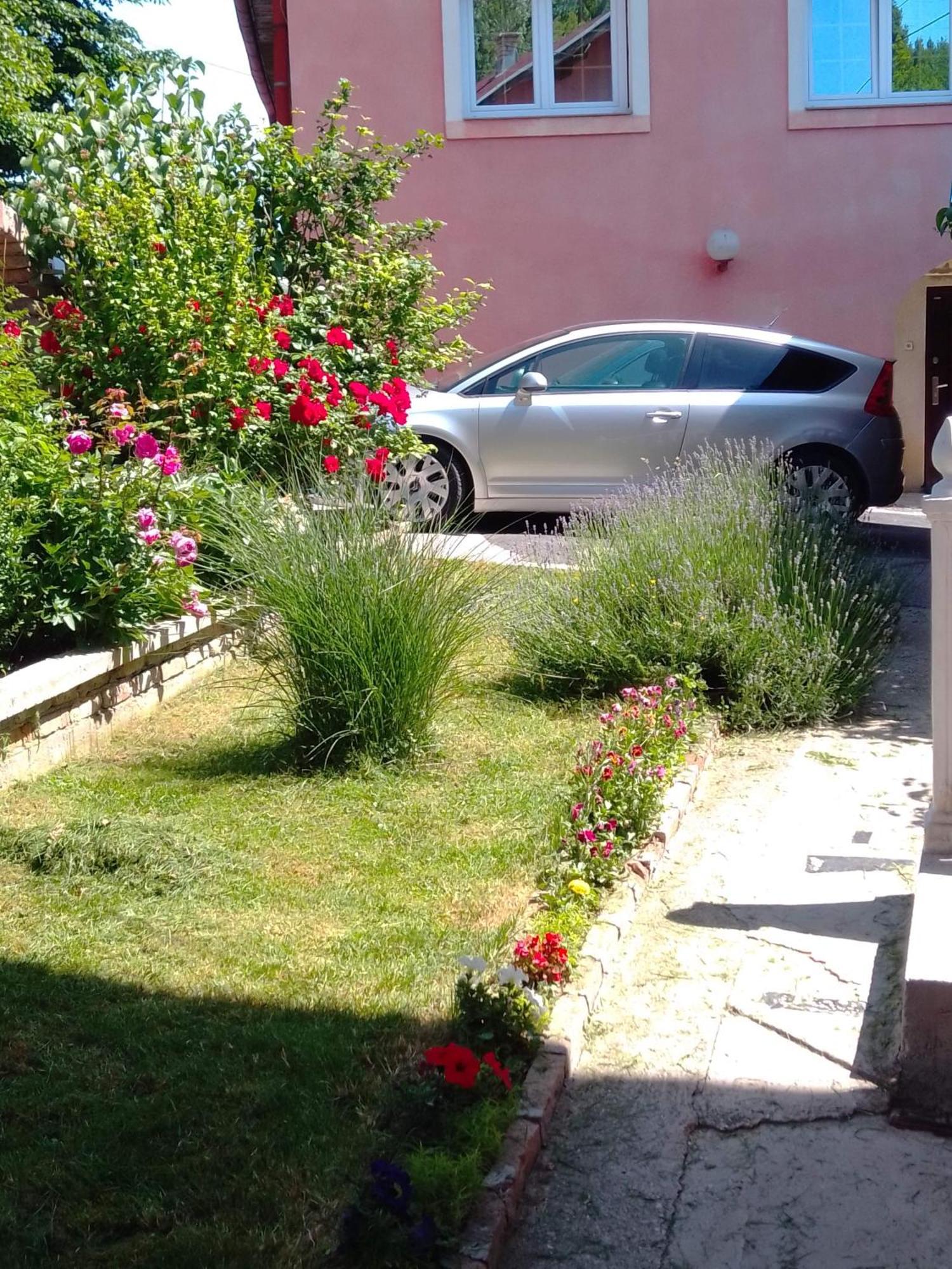 Apartman House Annesa サラエヴォ エクステリア 写真